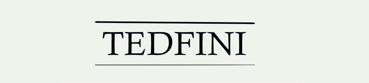 Logo Tedfini